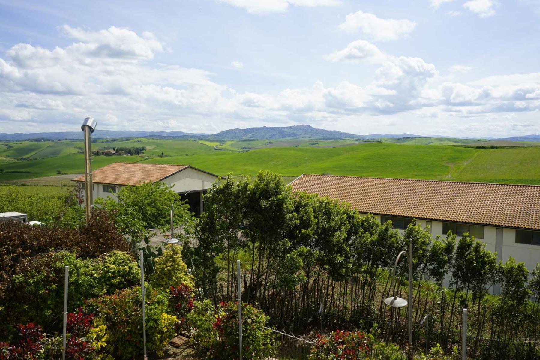 Agriturismo Signorini Orciatico Dış mekan fotoğraf
