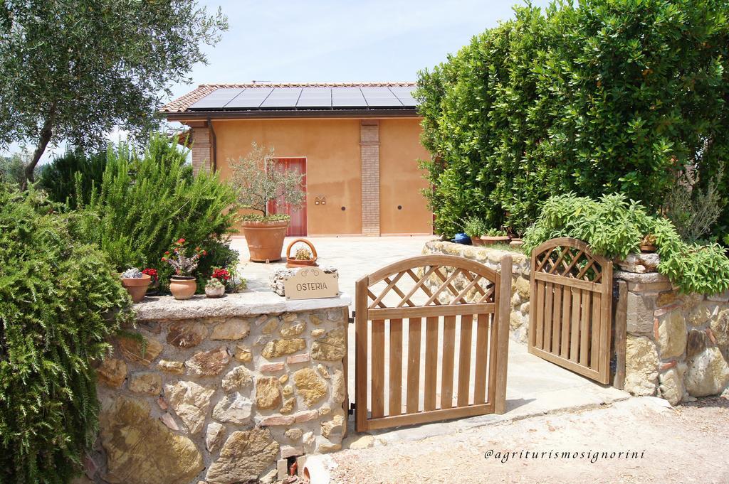 Agriturismo Signorini Orciatico Dış mekan fotoğraf