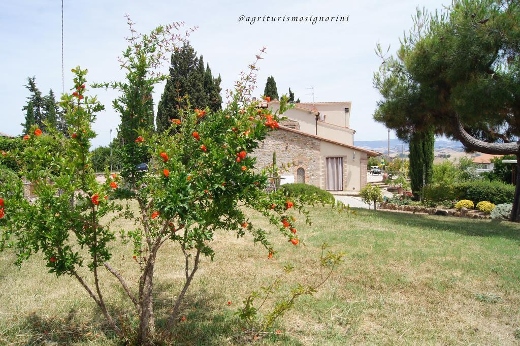 Agriturismo Signorini Orciatico Dış mekan fotoğraf