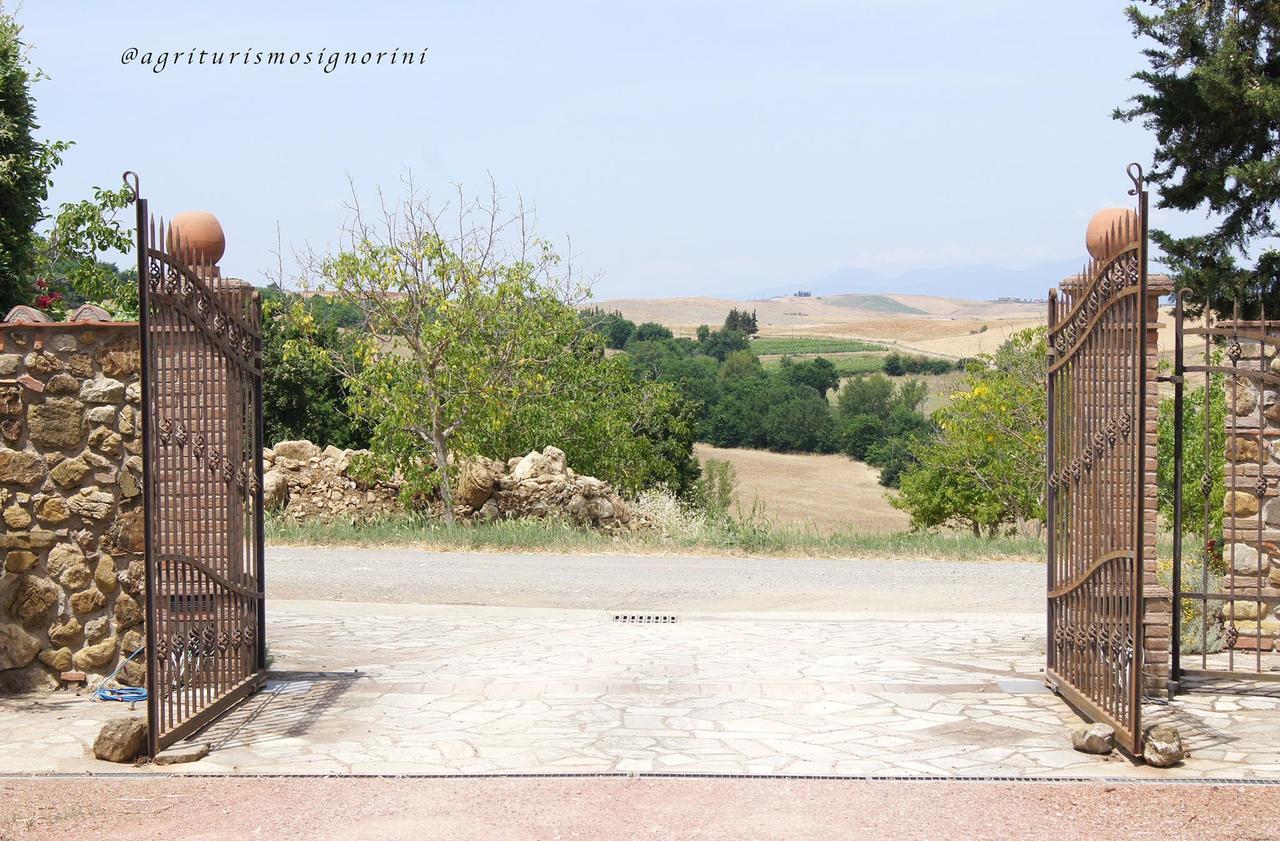 Agriturismo Signorini Orciatico Dış mekan fotoğraf
